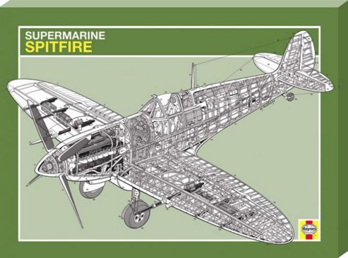 Image of Haynes Spitfire Large Canvas Print