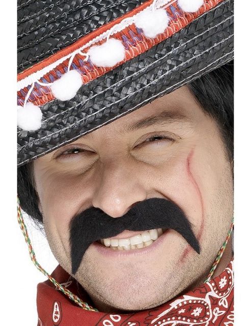 Image of Mexican Moustache