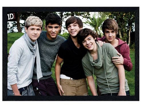 Image of One Direction Black Wooden Framed Beautiful Boys In The Garden 1d Poster