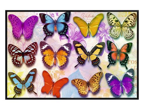Image of Butterflies Gloss Black Framed Exquisite Beauty Poster