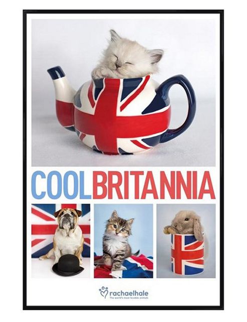 Image of Rachael Hale Gloss Black Framed Cool Britannia Poster