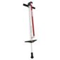 Razor Bogo Pogo Stick