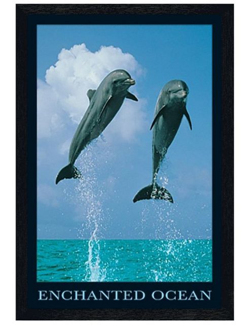 Image of Enchanted Ocean Black Wooden Framed Dolphins Jumping Poster