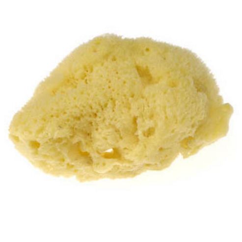 Image of W&n - Artists Sponge(k3518s)r