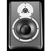 Dynaudio DBM50 Angled Monitor