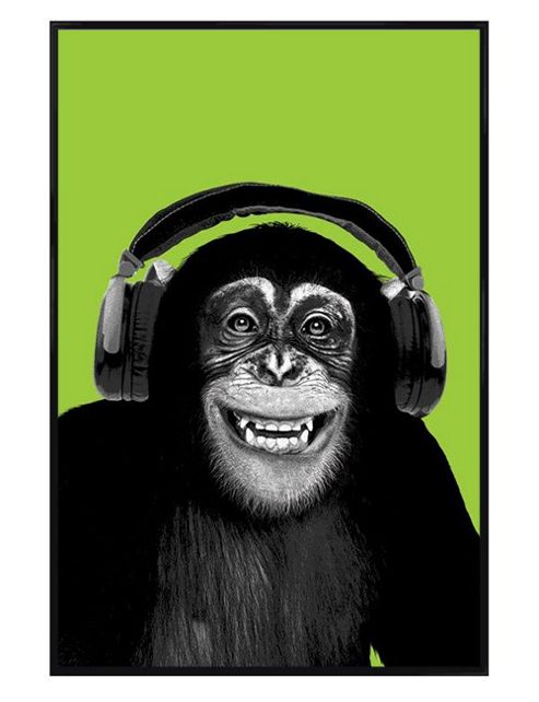 Image of Chimp In Headphones Gloss Black Framed Chimpanzee Boogie Poster