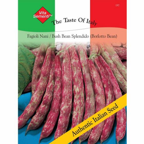 Image of Dwarf Bean 'splendido' (borlotti Bean) - Vita Sementi&reg; Italian Seeds - 1 Packet (60 Grams)