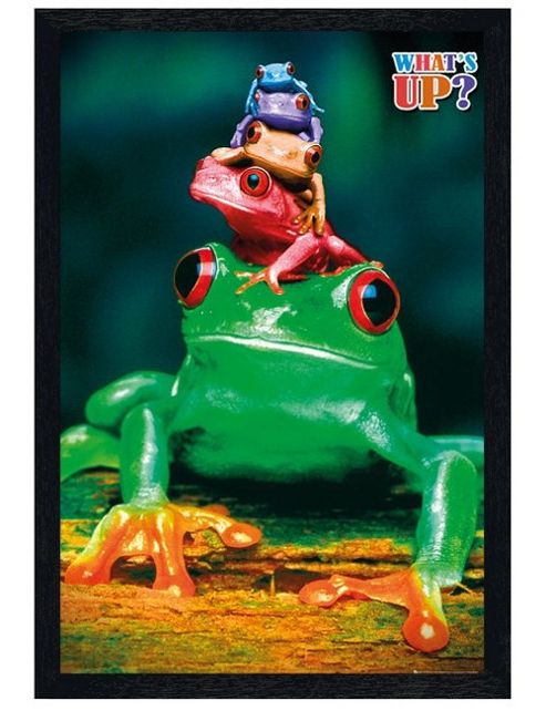 Image of Five Frog Pyramid Black Wooden Framed What's Up? Poster