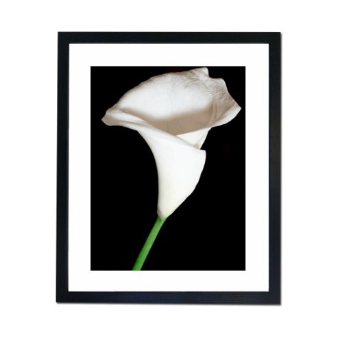 Image of Culture Decor White And Pure Wall Art