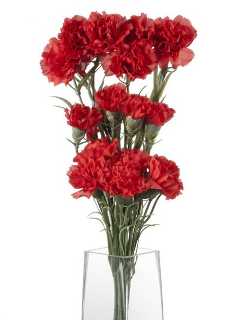 Image of Artificial 70cm Single Stem Multi Headed Red Carnations X 6