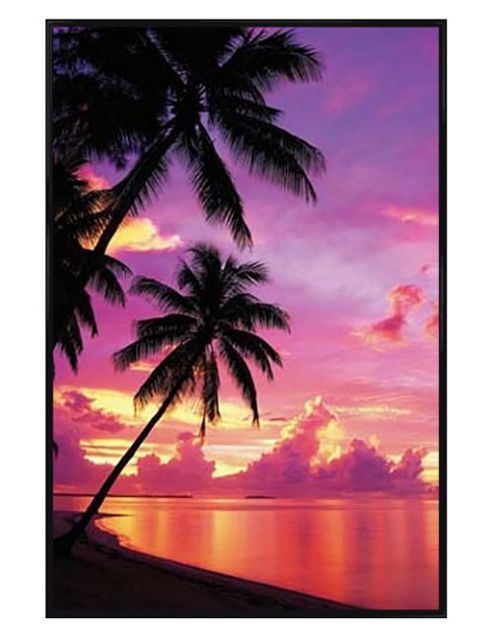 Image of Tahitian Sunset Gloss Black Framed Sunset On A Tahitian Beach Poster