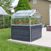 Palram Plant Inn Clear Greenhouse