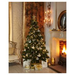Tesco 6ft Highland Fir Christmas Tree