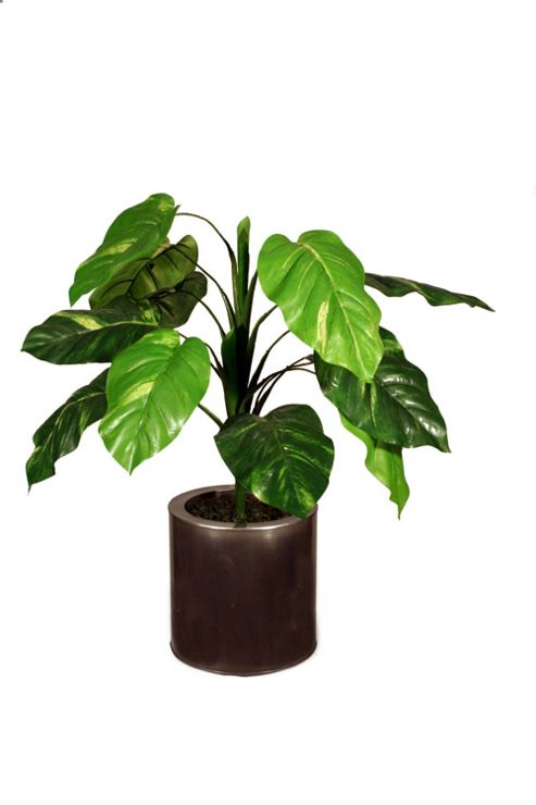 Image of Artificial 2ft Pothos Plant