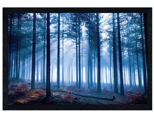Image of Tom Mackie Black Wooden Framed Forest Poster