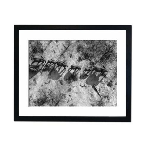 Image of Culture Decor Elephants Crossing Wall Art