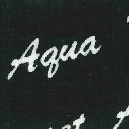 Image of Permaset Aqua 300ml Jet Black