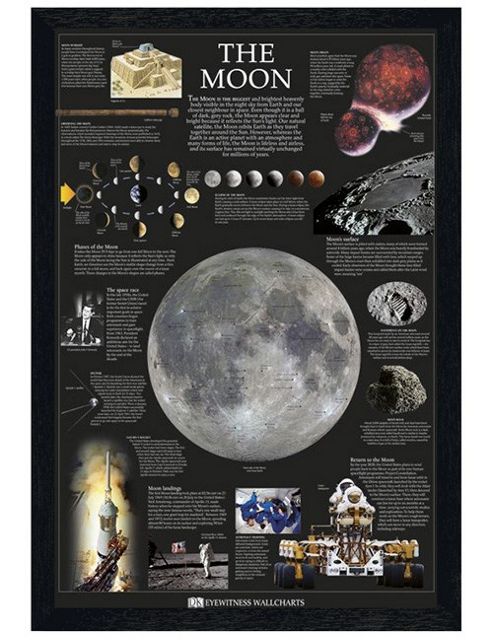 Image of Dorling Kindersley Black Wooden Framed The Moon Poster