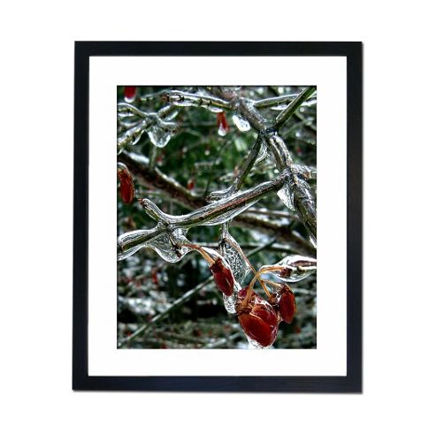 Image of Culture Decor Frozen Scarlet Wall Art