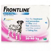 Frontline Spot On (Large Dog 20-40kg) [6 pack]