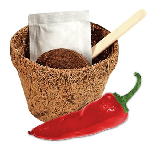 Image of Grow Me Hot Stuff - Grow Your Own Chilli Plants