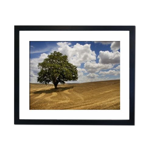 Image of Culture Decor Harvested Field Wall Art