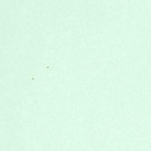 Image of Canford Paper A1 Mint