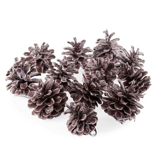 Image of Set Of Fifteen Decoration White Christmas Pine Cones