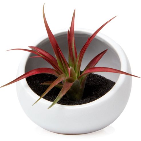 Image of House Additions Half Moon Vase - White