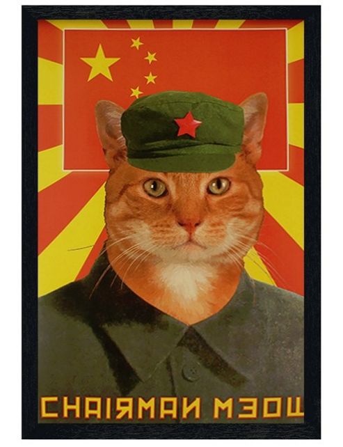 Image of Black Wooden Framed Chairman Meow Poster
