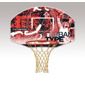 Sure Shot Urban Attack basketball backboard and ring