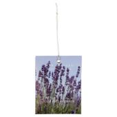 Wax Lyrical Made in England Mini Scented Sachet Lavender