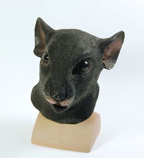 Image of Rat Mask