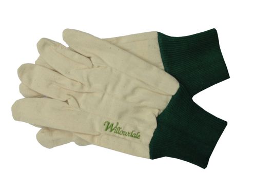 Image of Kent Glo23 General Purpose Cotton Gloves Ladies
