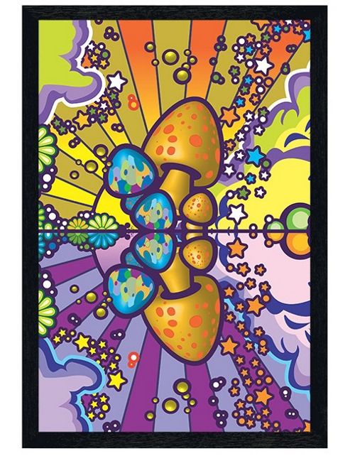 Image of Charlie Hardwick Black Wooden Framed Mushroom Magic Poster
