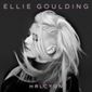Halcyon - Tesco Exclusive Version