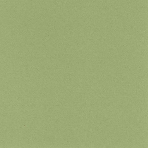 Image of Murano Paper A4 - Apple