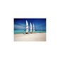 Pharmore Ltd 4 Sailing Boats on Sandy Shore Wall Art - 60cm x 90cm