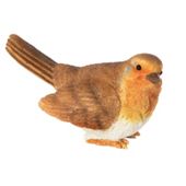 Tomcham Res19 Rocky Robin Sitting