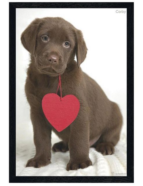 Image of Rachael Hale Black Wooden Framed Corby Poster