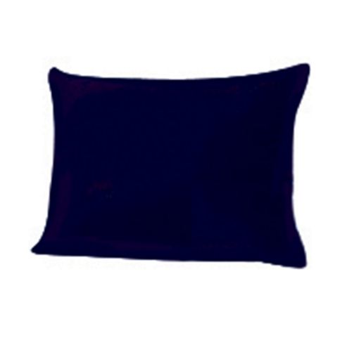 Image of Festival Camping Micro Fibre Pillow Blue
