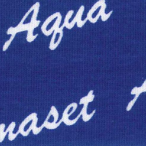 Image of Permaset Aqua 300ml Junior Navy