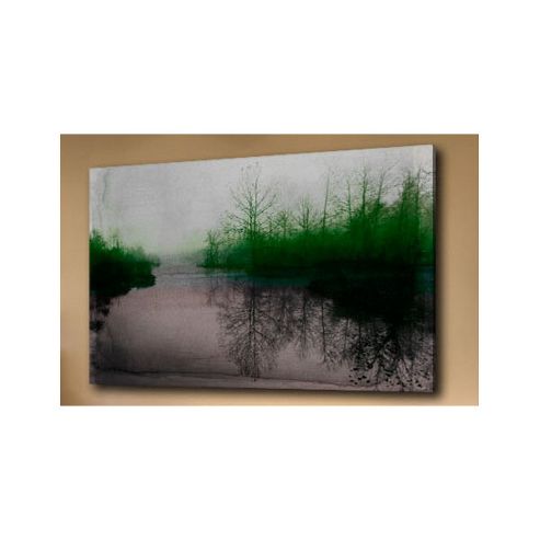 Image of Parvez Taj Beetle Lake Wall Art - 41 Cm H X 61 Cm W X 5 Cm D