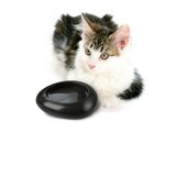 Imac Ciottoli Dog and Cat Bowl in Anthracite - Extra Large (28.5cm L x 36cm W x 9cm H)