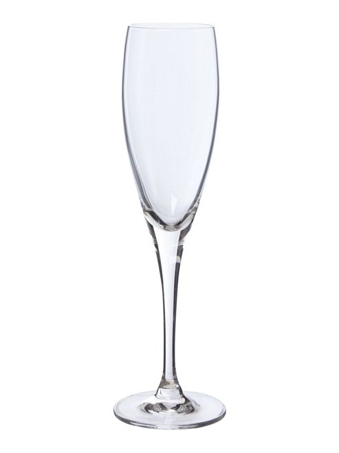 Image of Nicole Flute Set Of 4