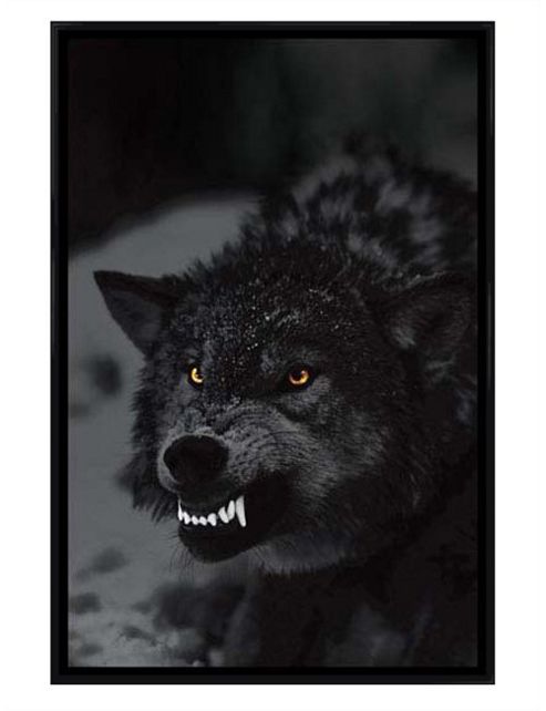 Image of Gloss Black Framed Prowling Wolf Poster