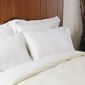 Belledorm Plain Dyed 200 Thread Count Oxford Pillowcase (Set of 2) - White