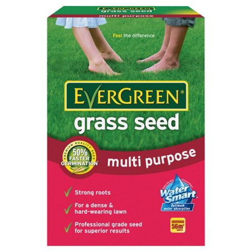 Image of Evergreen Grass Seed 1.68kg