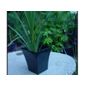 B.Line H307 Metallica Pot Black 23X23X26Cm