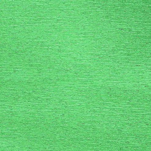 Image of Canson Metallic Crepe Paper 50cm X 250cm Green